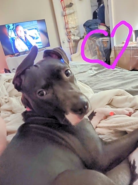 Photo of piper