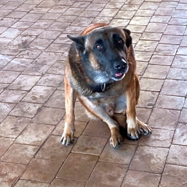 Photo of Duke