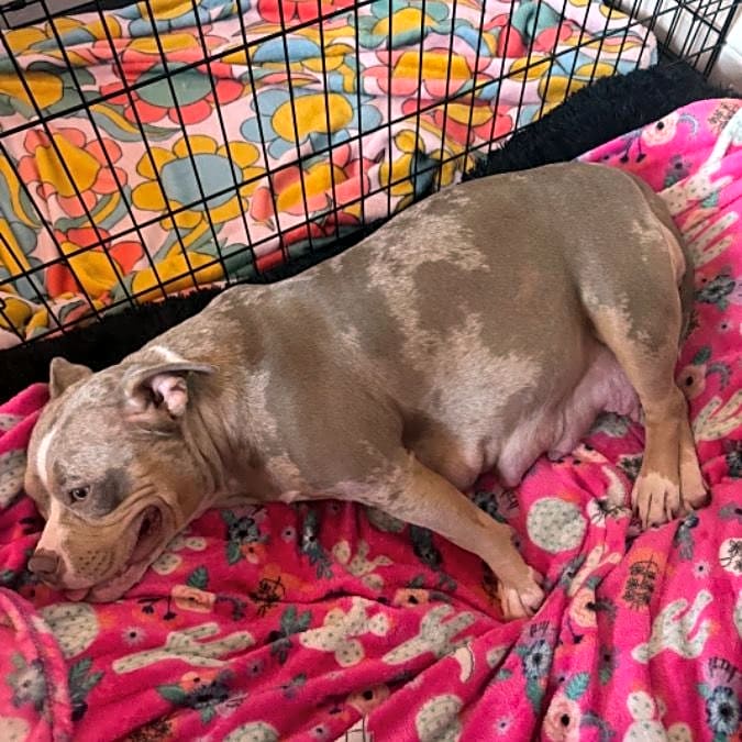 Photo of Mocha
