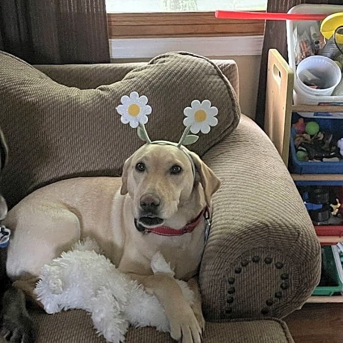 Photo of Lilly
