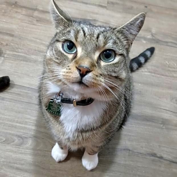 Photo of Little guy