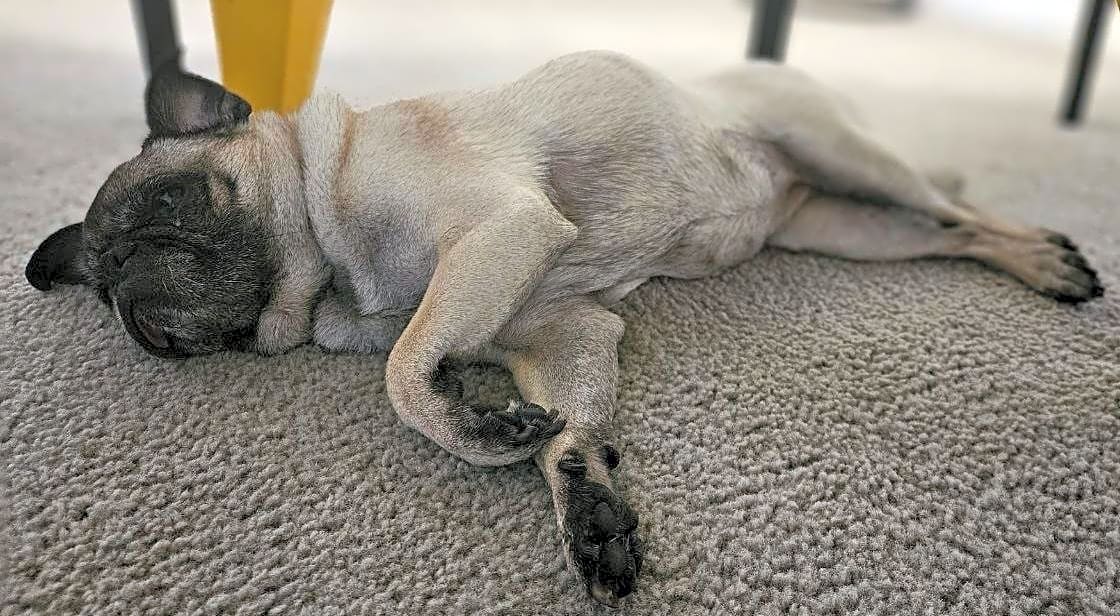 Photo of Sasha