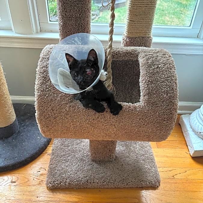 Photo of KiKi Moniko