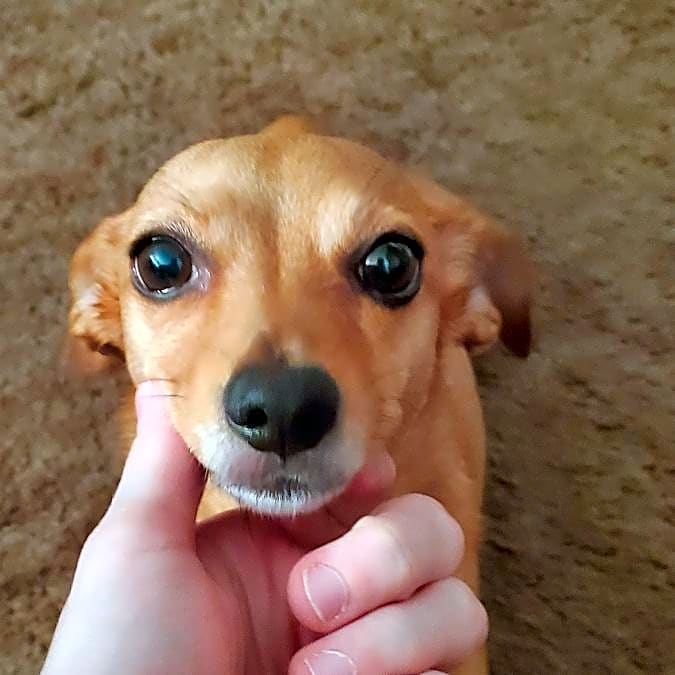 Photo of Molly Tamale