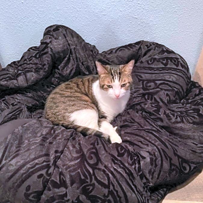 Photo of Max