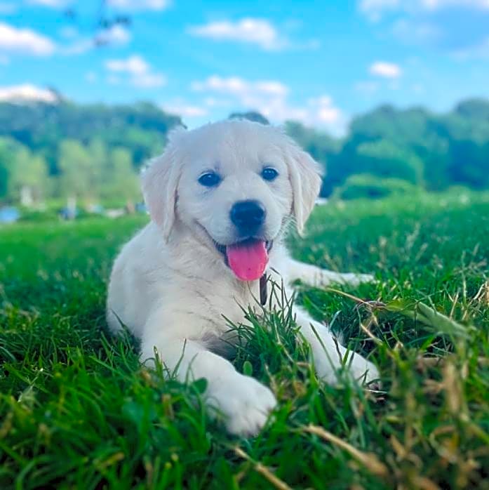 Photo of Karma