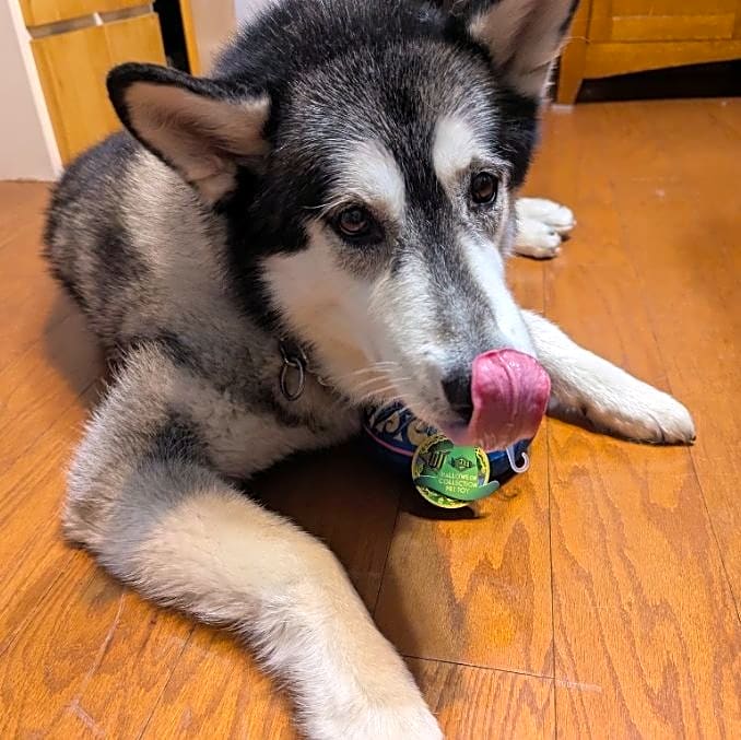 Photo of Elsie