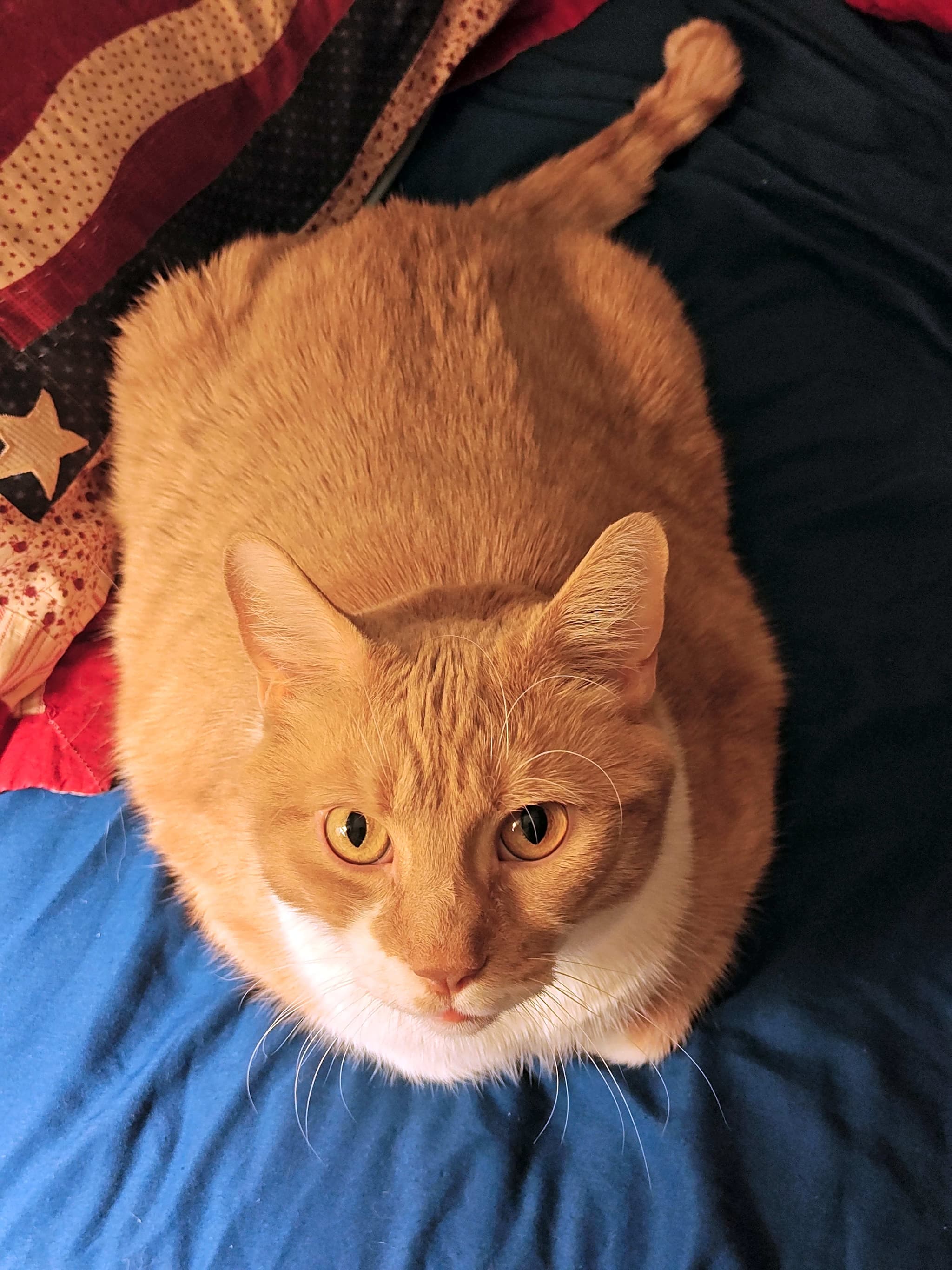 Photo of Charlie