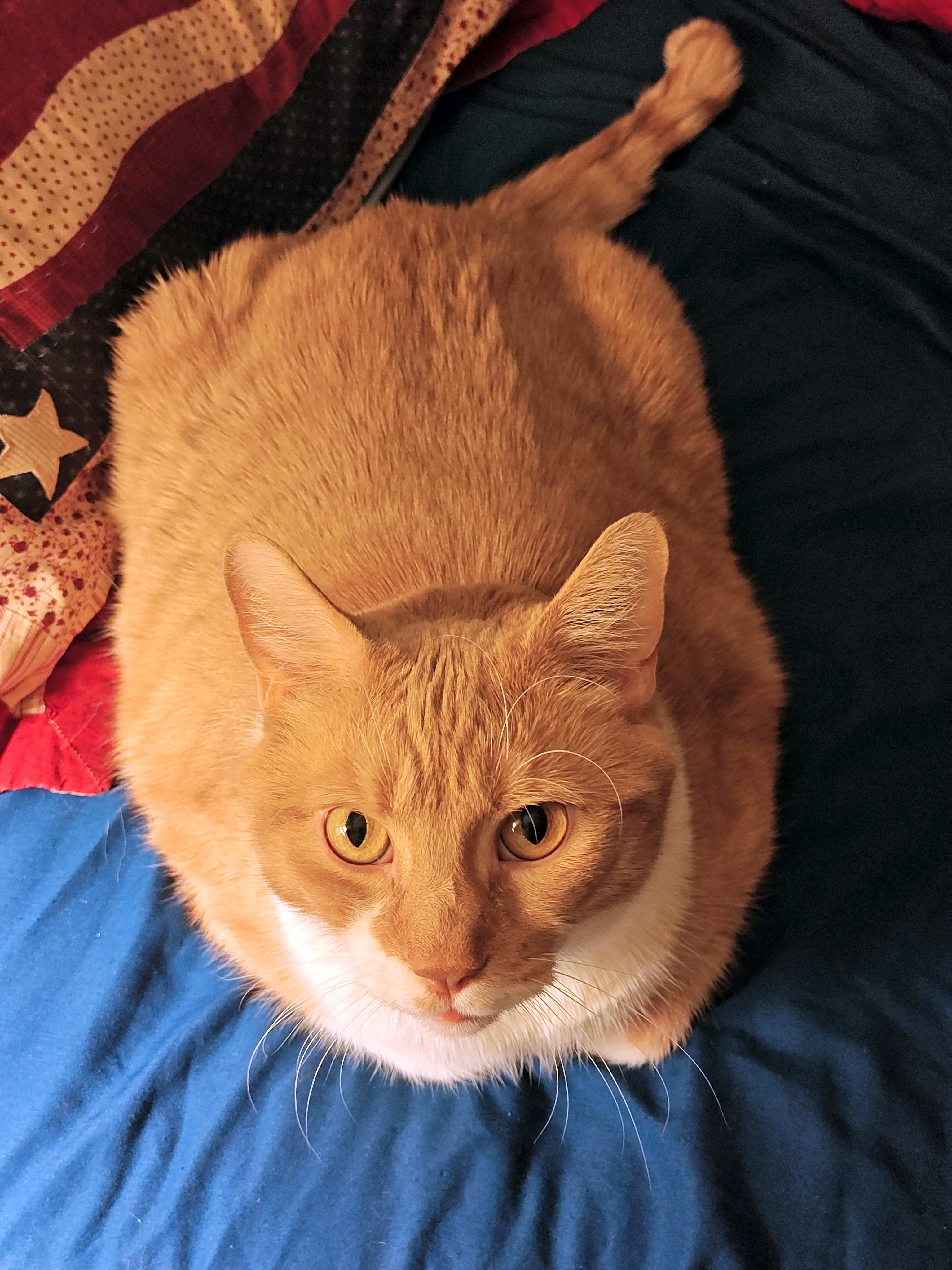 Photo of Charlie