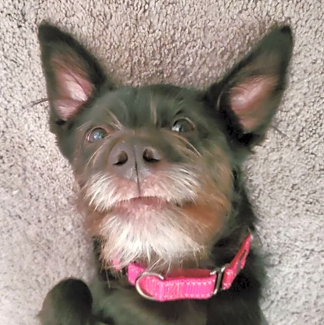 Photo of Molly Ginger Miley