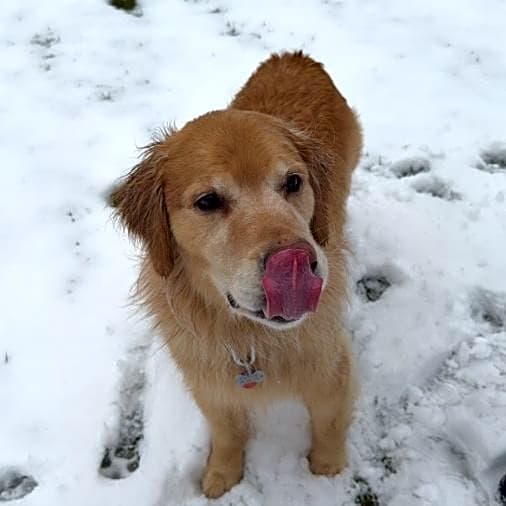 Photo of Kingston