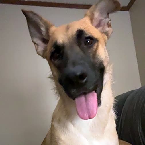 Photo of Athena