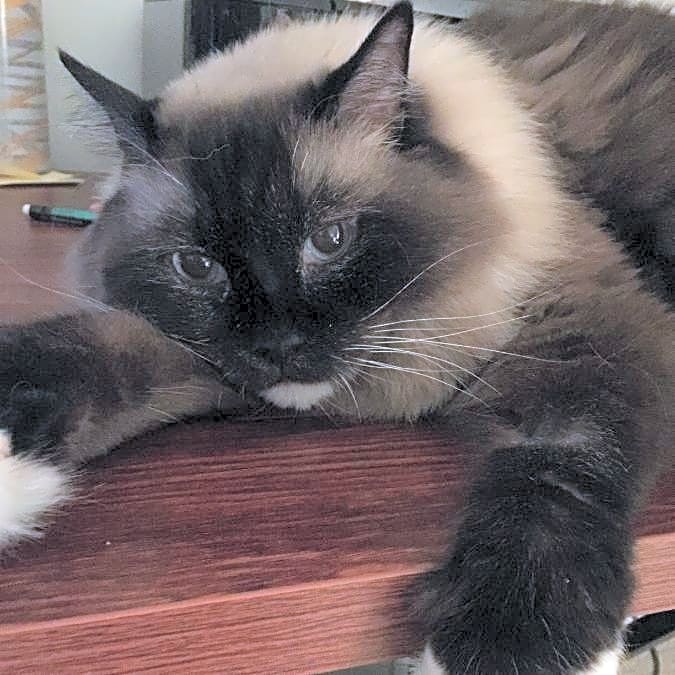 Photo of Annie