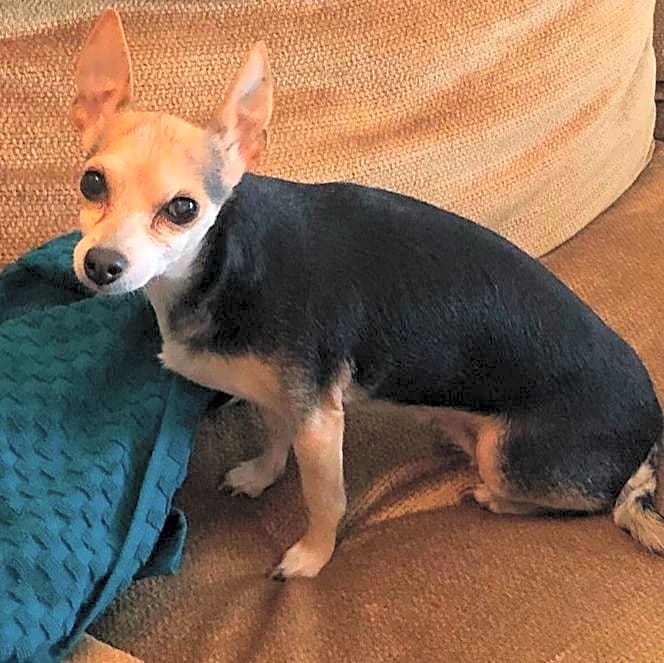 Photo of Lily