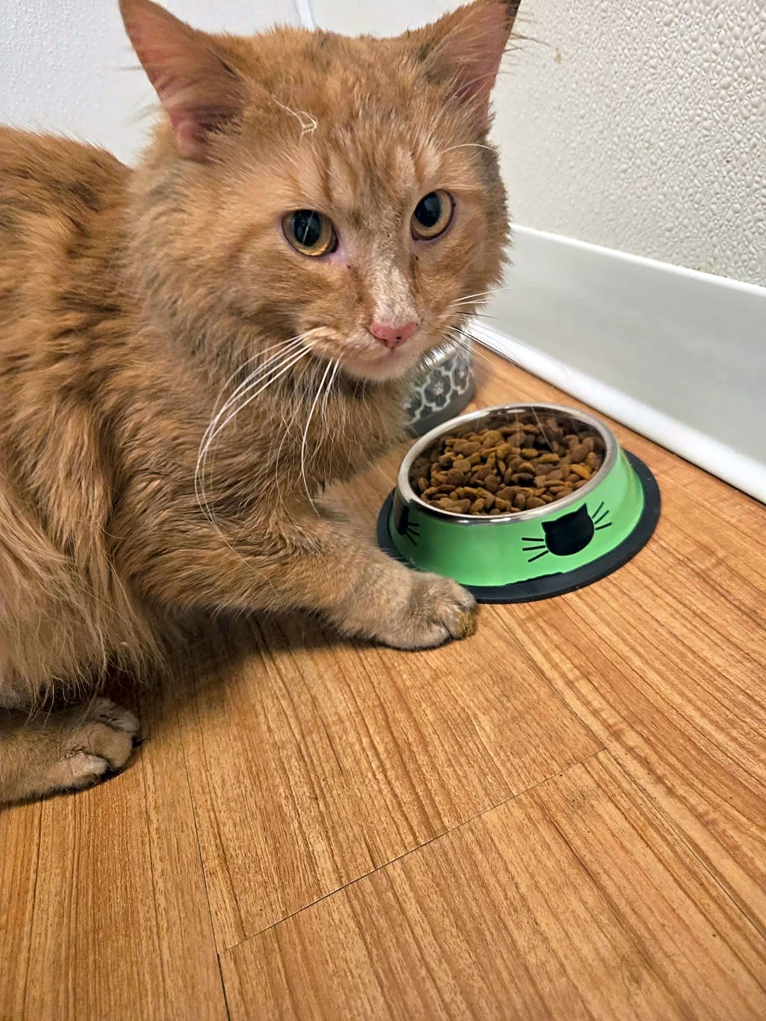 Photo of Reuben
