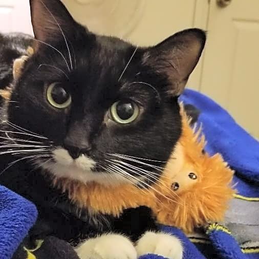 Photo of Poe