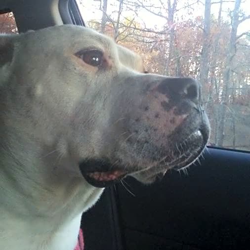Photo of Molly