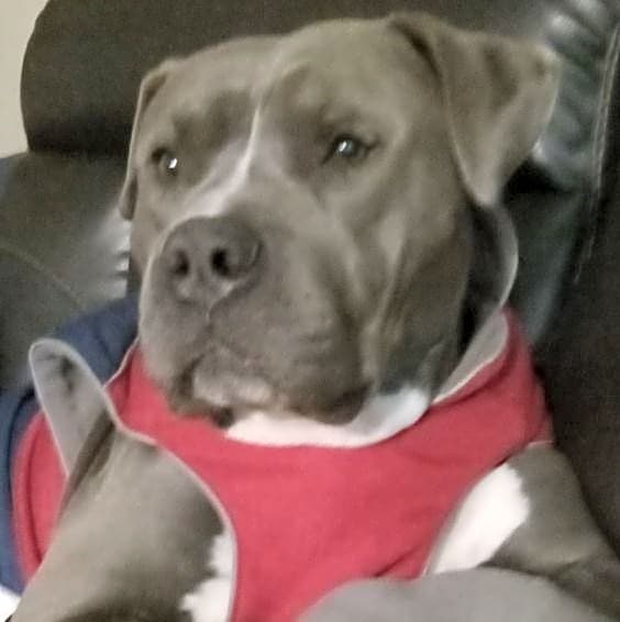 Photo of Kobe Duke