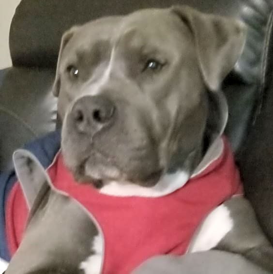 Photo of Kobe Duke
