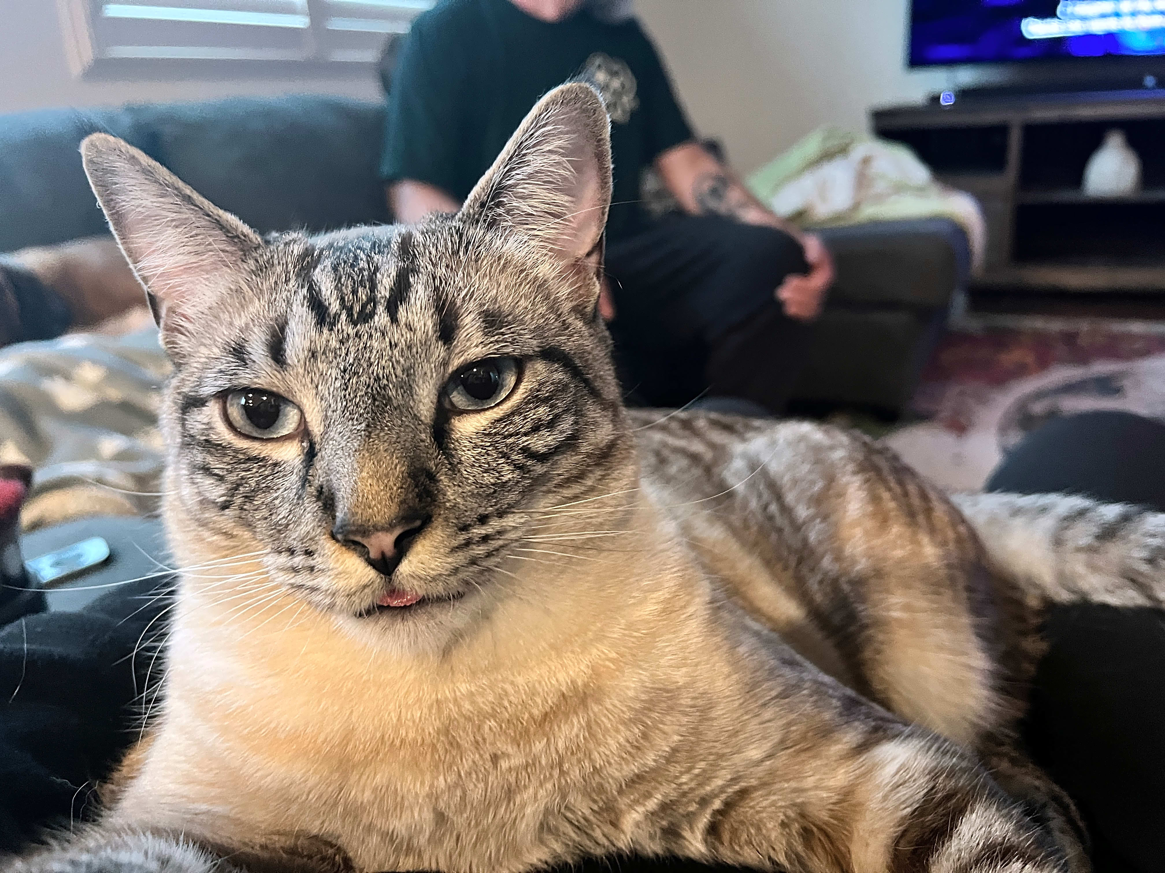Photo of Ash