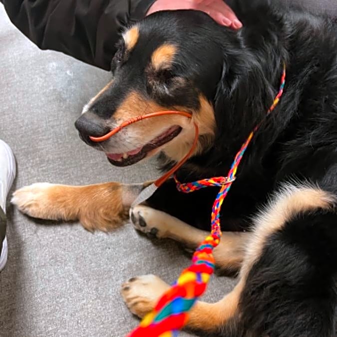 Photo of Ellie