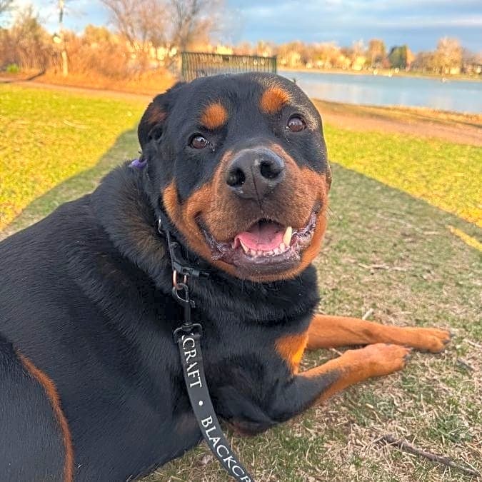 Photo of Buster
