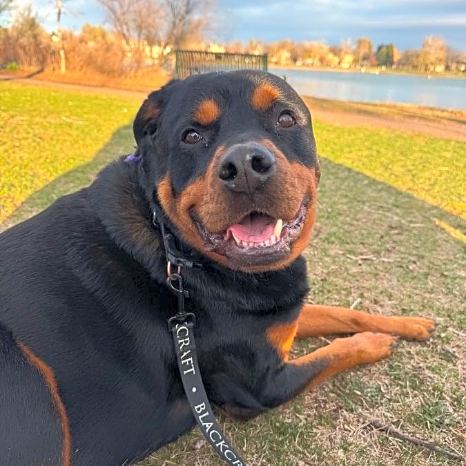 Photo of Buster