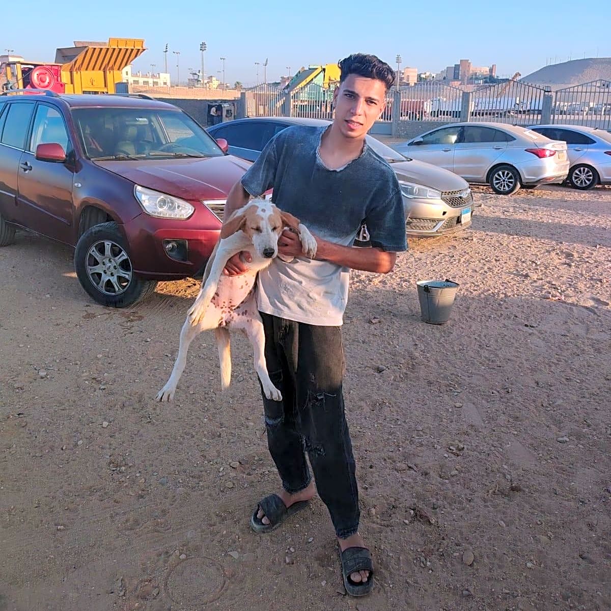 Photo of Desert Dogs