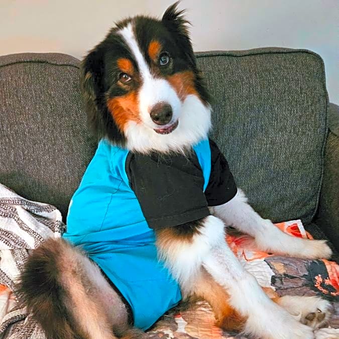 Photo of Bailey