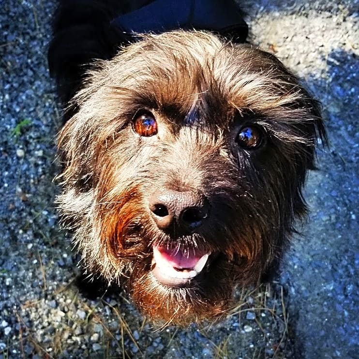 Photo of Jack
