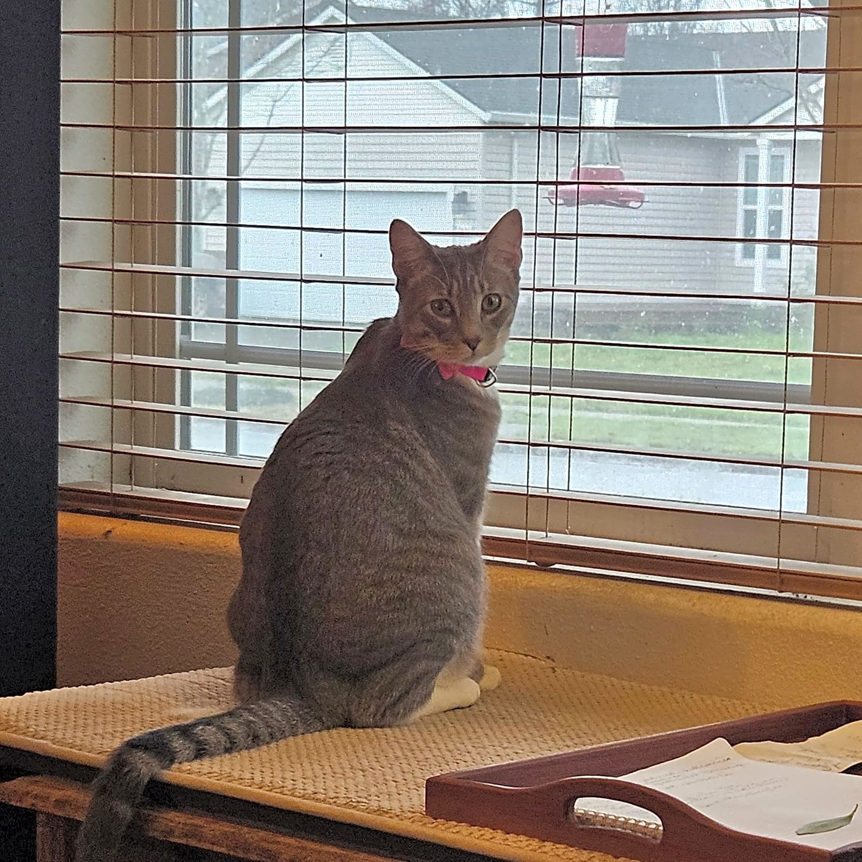 Photo of GusGus
