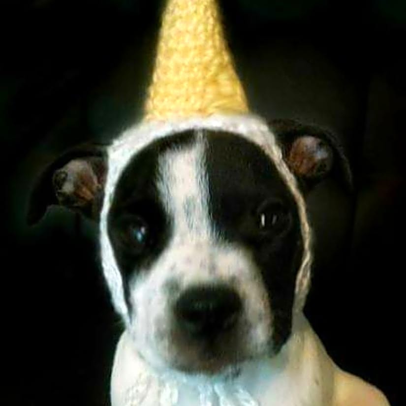 Photo of Maddox