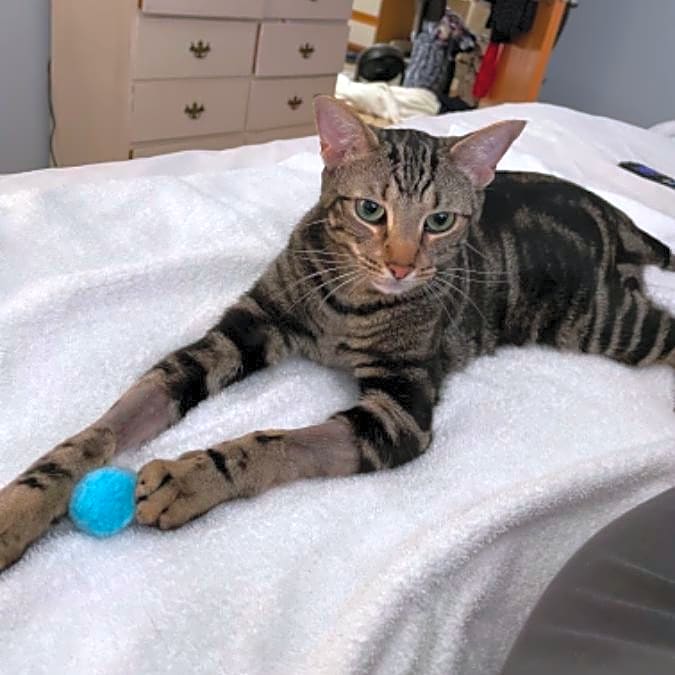 Photo of Micah