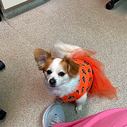Photo of Winnie