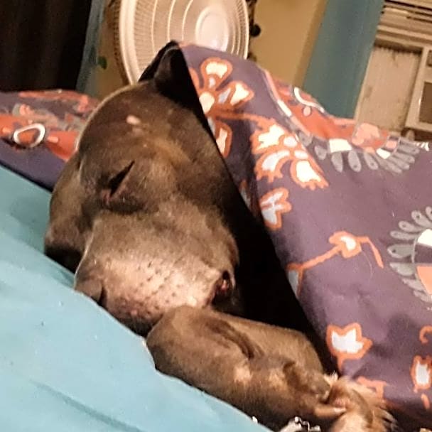 Photo of Fiona