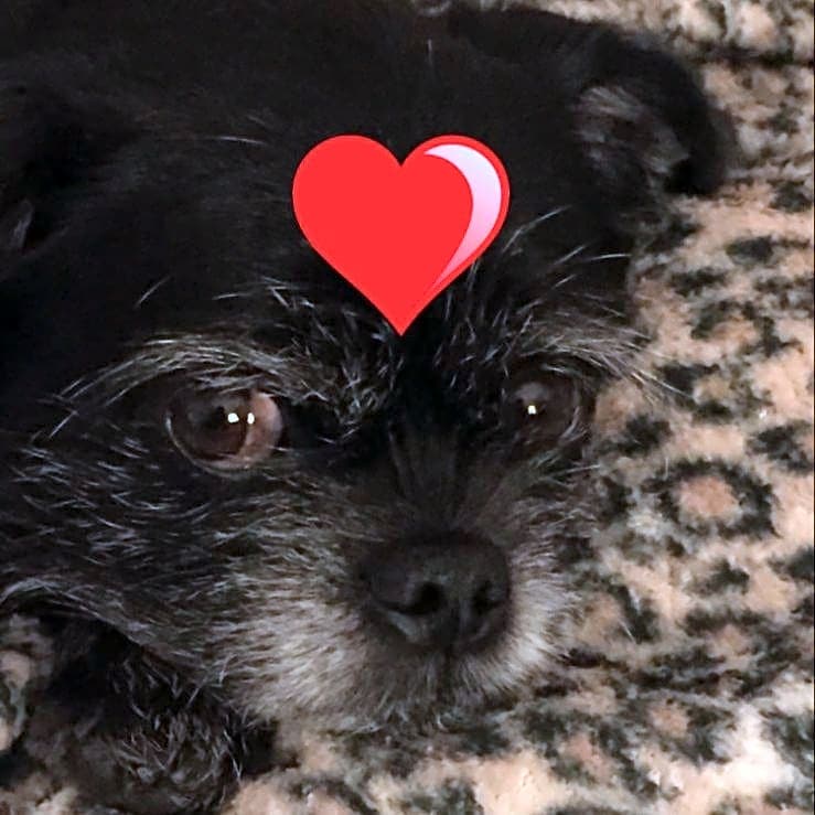 Photo of SUGAR