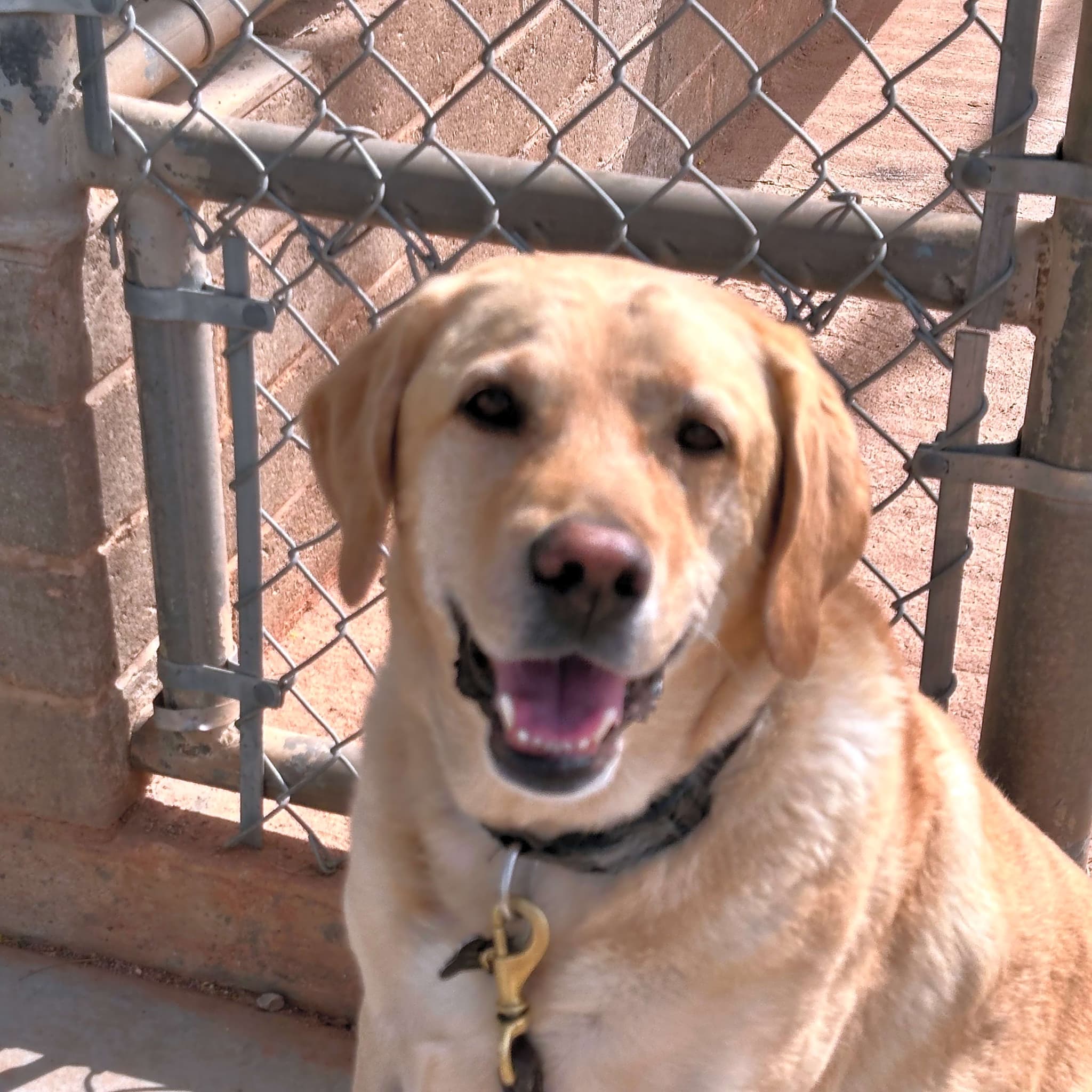 Photo of Spencer