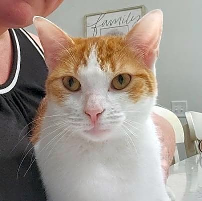 Photo of Winnie