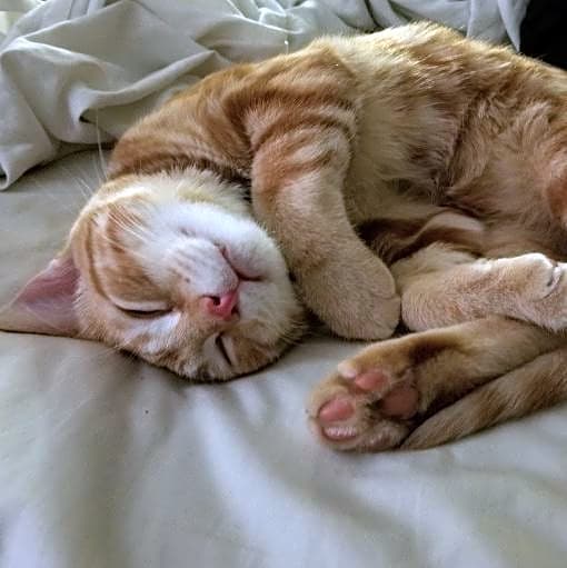 Photo of Kilo