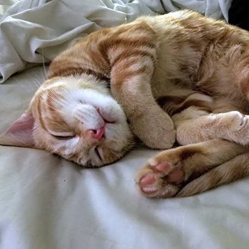 Photo of Kilo