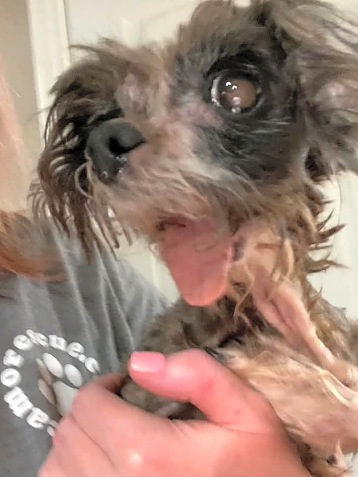 Photo of Hope Brave