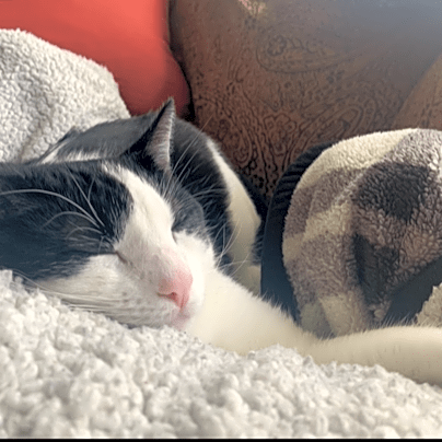 Photo of Finn