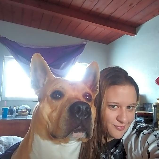 Photo of Boogie