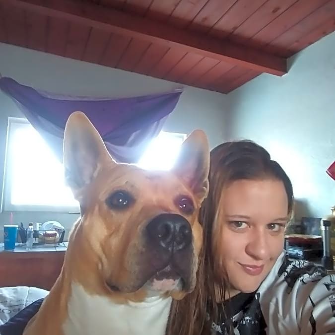 Photo of Boogie