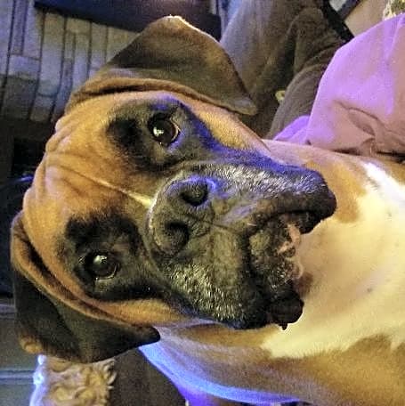Photo of Bronx