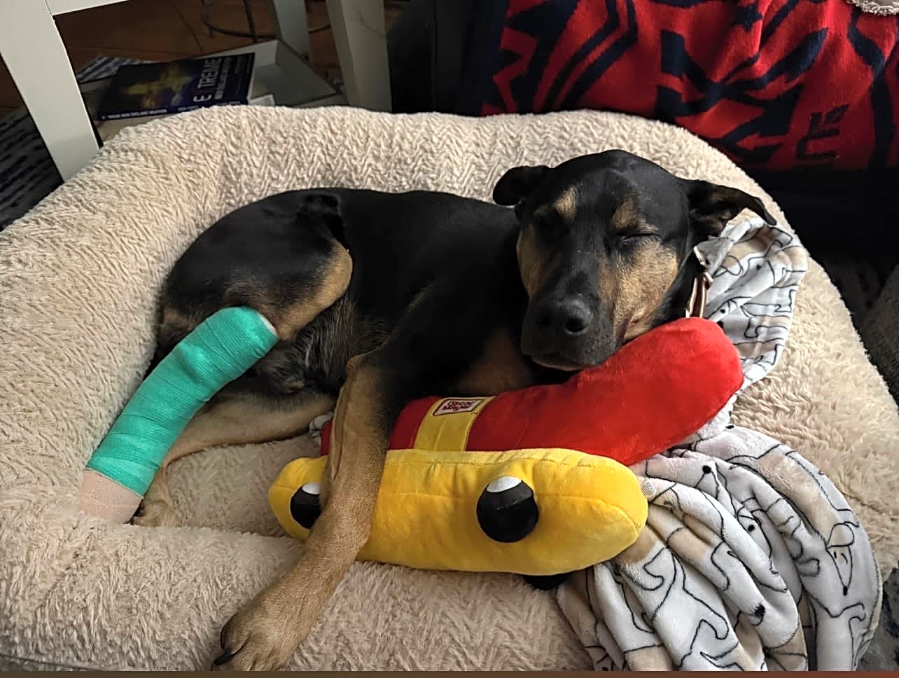 Photo of Zeus