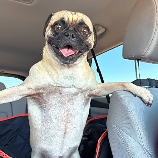 Photo of Echo
