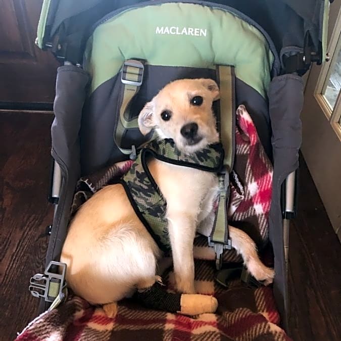 Photo of Happy