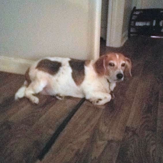 Photo of Maisey