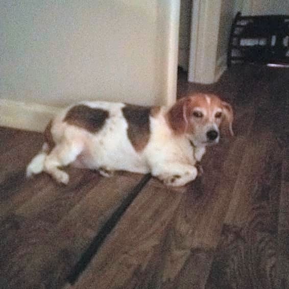 Photo of Maisey